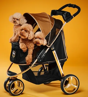 PT003 Индивидуальная цельная коляска для домашних животных Роскошные  складные уличные коляски для собак Тележка для домашних животных на продажу