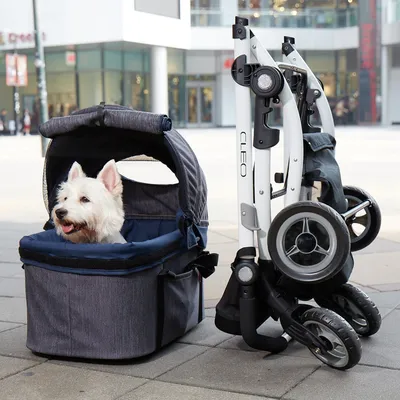 Для чего нужны коляски для собак?