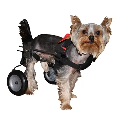Инвалидная коляска для собаки (Регулируемая высота и длина. Размер 1)