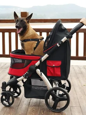 Dog Stroller Detachable Carrier | Dog Stroller Dogs Pet Travel - Stroller  Folding Dog - Aliexpress