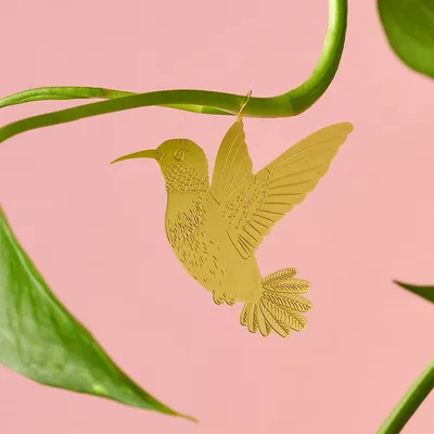 Ученые выяснили секрет птицы колибри — прототипа беспилотников | ИА Красная  Весна