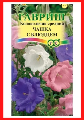 Колокольчик Средний Лилак – купить семена в интернет-магазине Лафа с  доставкой по Москве, Московской области и России