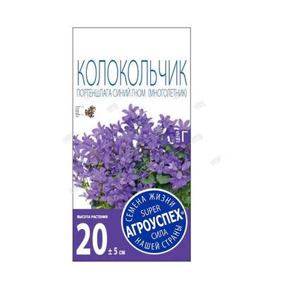 Колокольчик портеншлага Синий гном, семена Агроуспех 0,01г (цена за 2 шт)  купить, отзывы, фото, доставка - СПКубани | Совместные покупки Краснодар, Ан