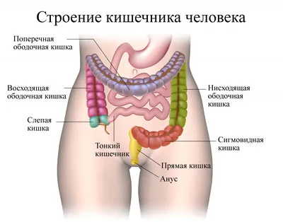 Колостома - что это такое, показания к наложению стомы при раке кишечника,  диета и уход за больным с колостомой, закрытие стомы кишечника