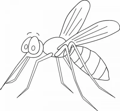 Картинка раскраска комар - 72 фото