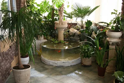 Купить домашний фонтан — все виды декоративных фонтанов для дома, квартиры,  офиса в Киеве и Украине - Pool-Pond Ltd (Киев. Украина)