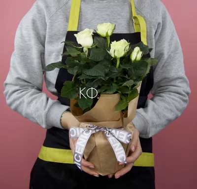 Цветущий букет, искусственный цветок розы, реквизит для фотографии,  свадебная вечеринка, домашний стол, декор бонсай – лучшие товары в  онлайн-магазине Джум Гик