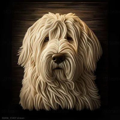 Komondor | Komondor dog, Komondor, Large dog breeds