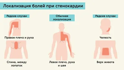 admin — Страница 61 — ГКУЗ \"УОКПБ им. В.А. Копосова\"