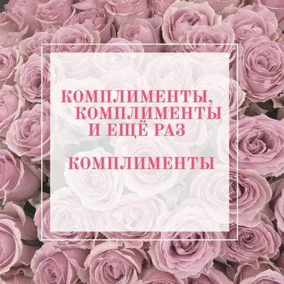 Комплименты, комплименты и ещё раз комплименты. | Записки умного человека.  | Дзен