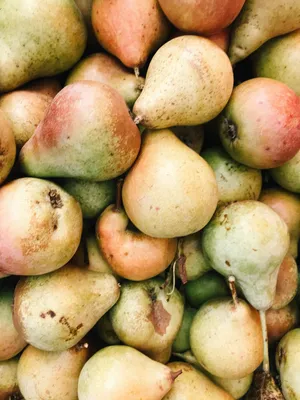 Десерты из груш на зиму: мои обязательные заготовки | Пикабу