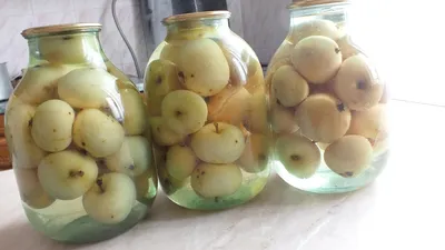 Компот из яблок, апельсинов и ревеня на зиму - пошаговый рецепт  приготовления с фото / COOK-MASTER.RU