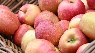 12 беспроигрышных способов заготовки яблок на зиму - Рамблер/женский
