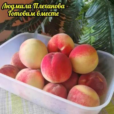 Как заготовить персики на зиму: рецепты домашней консервации