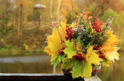 Осенние композиции из цветов своими руками | АртФлора | Онлайн маркет  букетов | Дзен