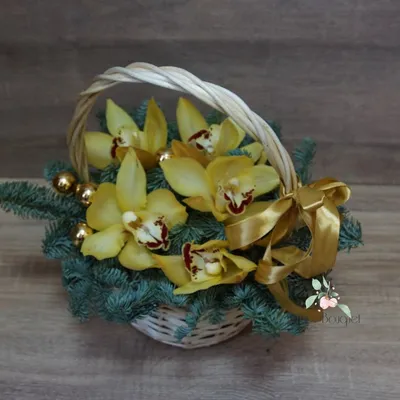 Купить композицию из орхидей \"Доброе утро\" в Москве с доставкой