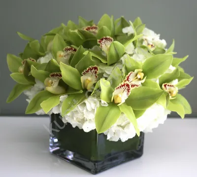 Композиции из орхидей к новому году купить в Краснодаре с доставкой