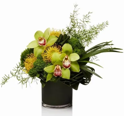 Композиция с орхидеями \"Зеленый мир\" купить в Домодедово в Букет-Элит