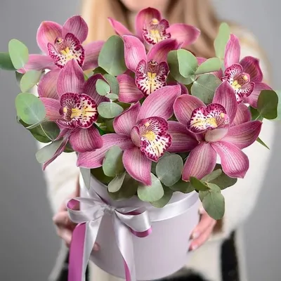 Композиция с орхидеями в коробке доставка в Улан-Удэ | «Цветочный BAZAAR»