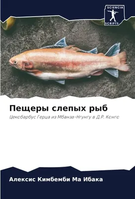 ТЕТРА КОНГО - УХОД, СОДЕРЖАНИЕ, РАЗВЕДЕНИЕ l ЭТО АФРИКАНСКОЕ ЧУДО ЛУЧШЕ  ГЛО!) l АКВАРИУМНЫЕ РЫБЫ #16 - YouTube