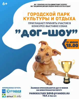 Положение конкурса-выставки собак \"Дог-Шоу\" - Городской парк культуры и  отдыха города Белогорск