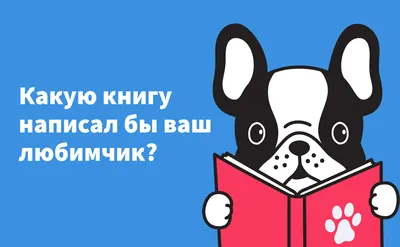 Смоленская газета - Конкурс красоты, или «Дай лапу!»