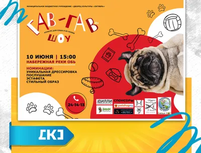 Конкурс красоты, или «Дай лапу!»: в Смоленске выбрали лучшую собаку - МК  Смоленск
