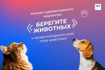 В США завершился конкурс на самую уродливую собаку - Российская газета