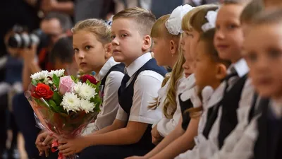 Осенью выйдет \"Конституция в стихах\". Учить наизусть хоть не заставят? |  Казусы образования | Дзен