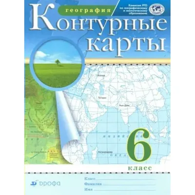 векторные контурные рисунки цветочных элементов дизайна из декоративных  веток с ягодами листьев и цветов Иллюстрация вектора - иллюстрации  насчитывающей красно, листья: 227058966