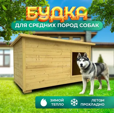Собачьи будки с тамбуром для различных пород