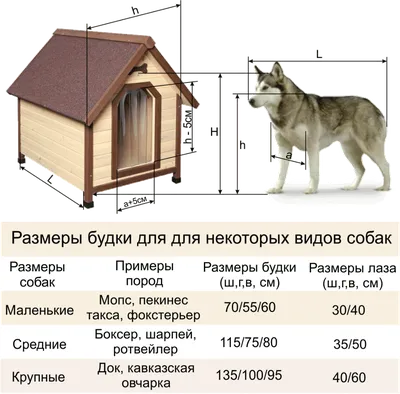 Будка для собаки. Какой должна быть собачья конура