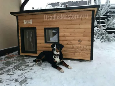 Будка на две собаки - Budkahome