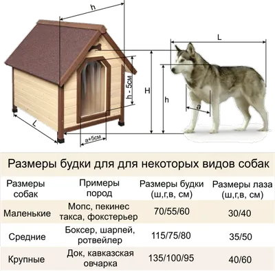 Самостоятельная будка для собаки - инструкция по сборке своими руками |  Отделка и декор | Дзен