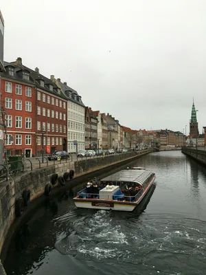 Копенгаген – город сказок Андерсона и цветущих зимой роз | Путешествуй с  пользой | Дзен