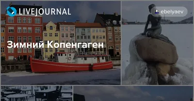 Рождественский Копенгаген: игра света и красок 🧭 цена экскурсии €144, 7  отзывов, расписание экскурсий в Копенгагене