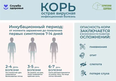 С заболевшей корью девушкой в петербургском ЖК контактировали 3 тысячи  человек - Газета.Ru | Новости