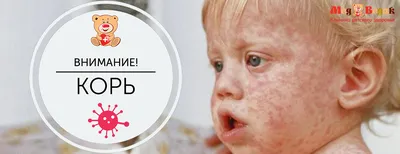 ГБУЗ Городская поликлиника № 111 для взрослых - Санкт-Петербург, ул.  Ольховая , д. 6 - p111.spb.ru