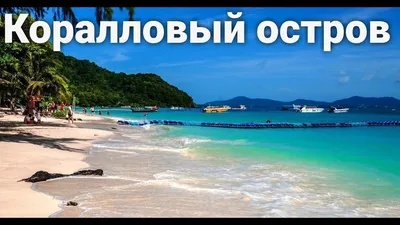 ✓ Банана Бич на Коралловом острове 🏖️ — Thai-Zilla