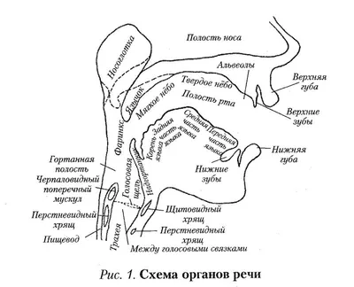 Болит корень языка: причины и методы лечения