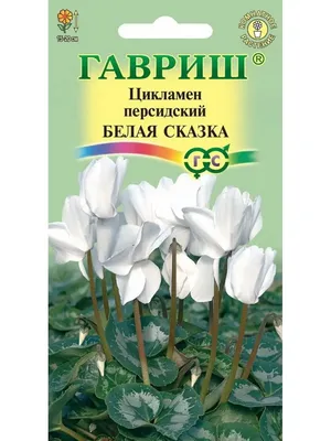 Капли цикламена – купить капли от гайморита по выгодной цене в  Санкт-Петербурге