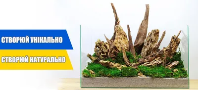 Декор для аквариума Коряга с растением 16х12х25с 621 | Интернет-магазин  товаров для животных MoeZoo.Ru