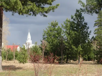 Городское хозяйство