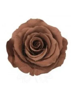Необычные оригинальные подарки - коричневые розы в колбе. Купить