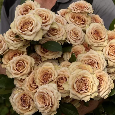 Букет из пионовидных роз Тоффи - заказать доставку цветов в Москве от Leto  Flowers
