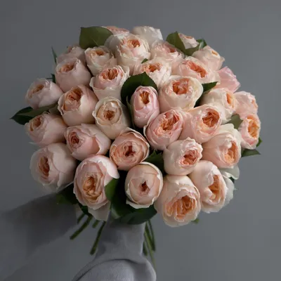 Уникальная роза Тоффи карамельного цвета цена 3 150 грн купить букет с  доставкой по Львову - Kvitna - Роза Коричневый