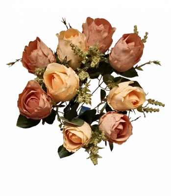 Купить саженцы Роза Японская Эвентайл дор с доставкой! | Florali-Flor