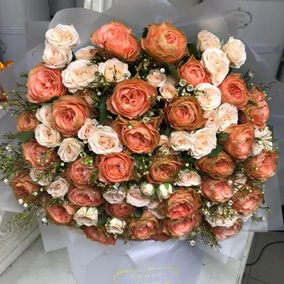 Розовые розы эстетика | Розы, Розовые розы, Цветы