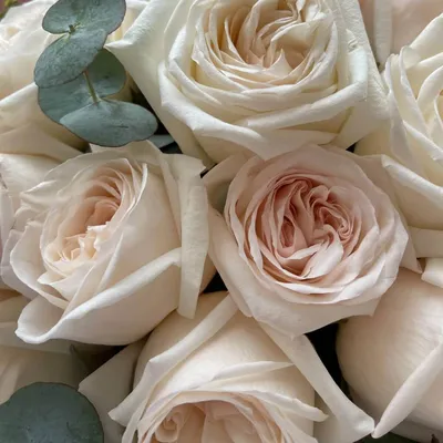 Изображение цветка со словом «роза» на нем | Премиум Фото