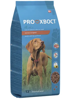 Сухой корм Мираторг MEAT с нежной телятиной для собак мелких пород 1+, 500г  - купить с доставкой по выгодным ценам в интернет-магазине OZON (250747998)